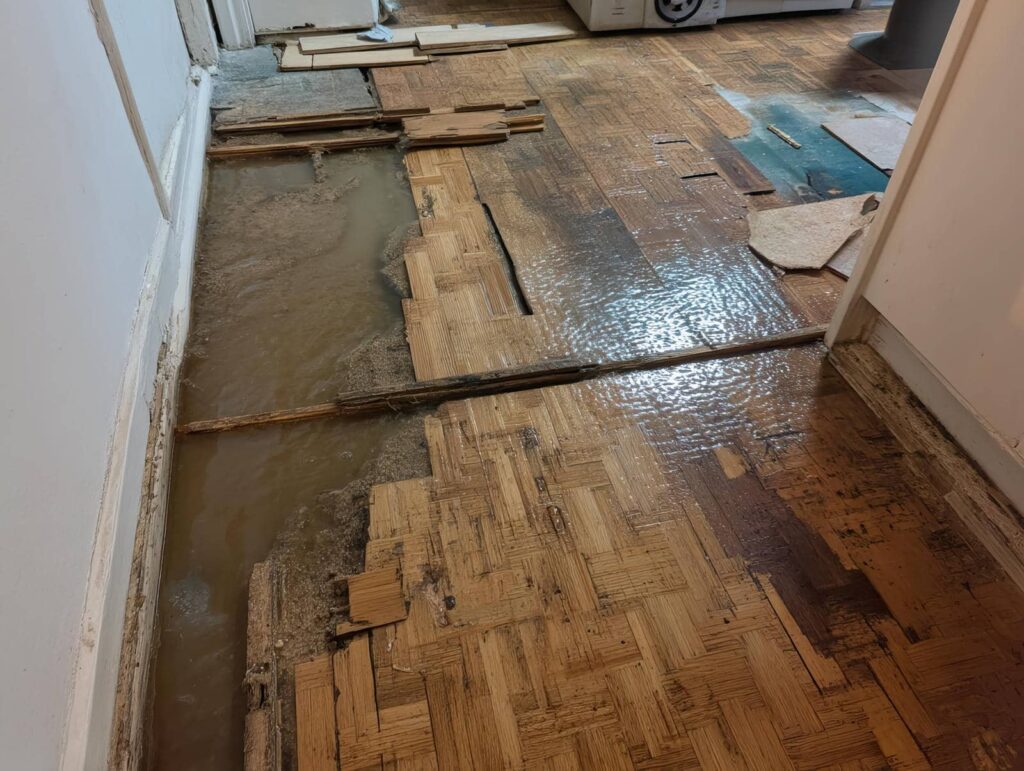 10 Essential Emergency Water Damage Repair Tips