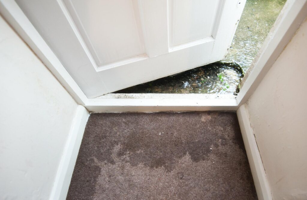 Essential Tips for Emergency Water Extraction
